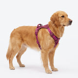 Fuchsia Camo Everyday||size:5