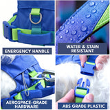 Lime Wave Everyday||size:1,2,3,4,5