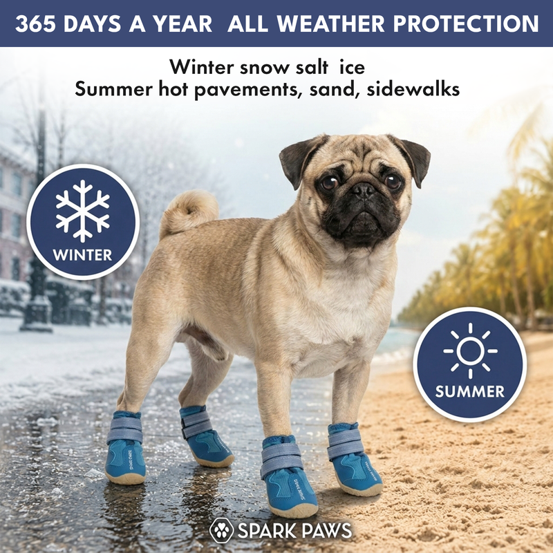 365 オールシーズン犬用シューズ 4個セットーズ - ブルー – SPARK PAWS
