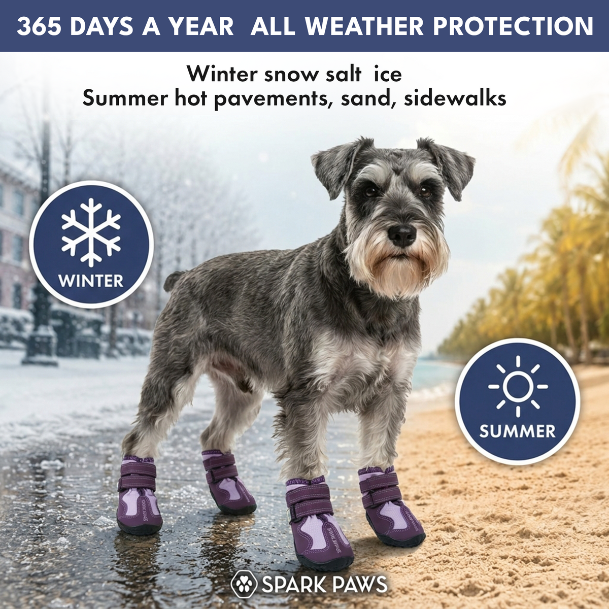 Spark Paws 365 – オールシーズン ドッグシューズ - パープル – SPARK PAWS