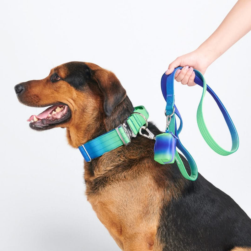 戦術的な犬用首輪セット - ライムウェーブ