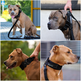 戦術的な犬用首輪 - ブラック