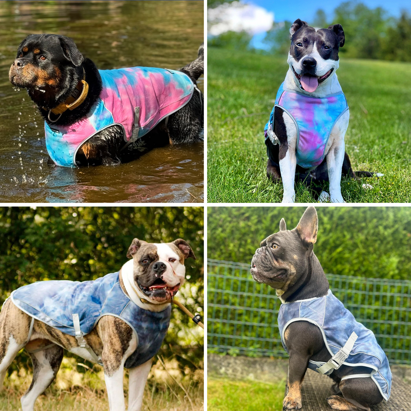 犬用クールベスト 2枚セット – SPARK PAWS