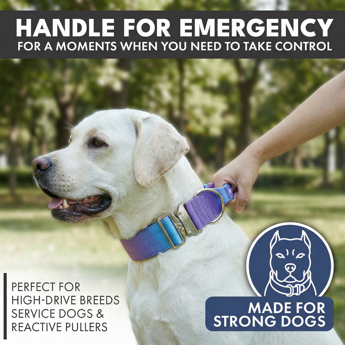 スパークパウズ犬の服、チェーン、首輪、その他 – SPARK PAWS