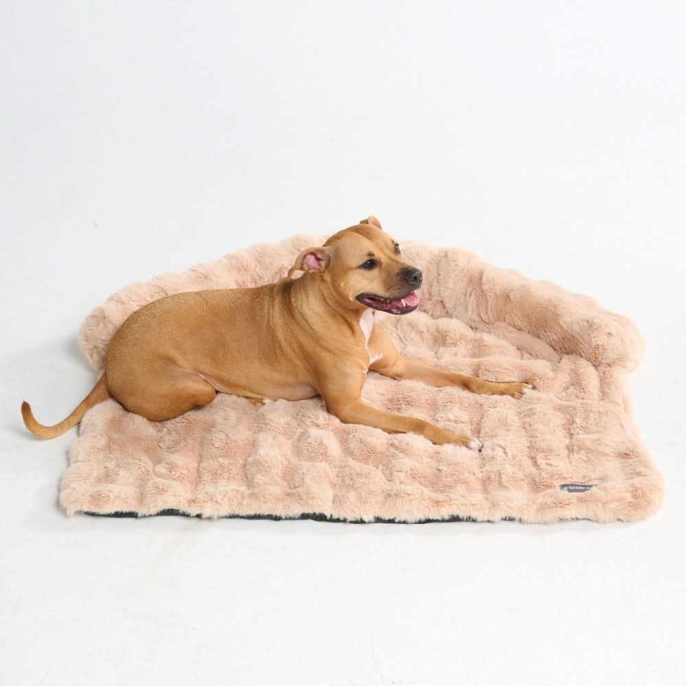 Dog Bed – SPARK PAWS