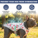 Cherries Cooling Vest||size:S,M,L,XL,2XL,3XL,4XL