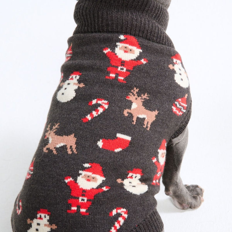 クリスマスニット犬用セーター – サンタクロース