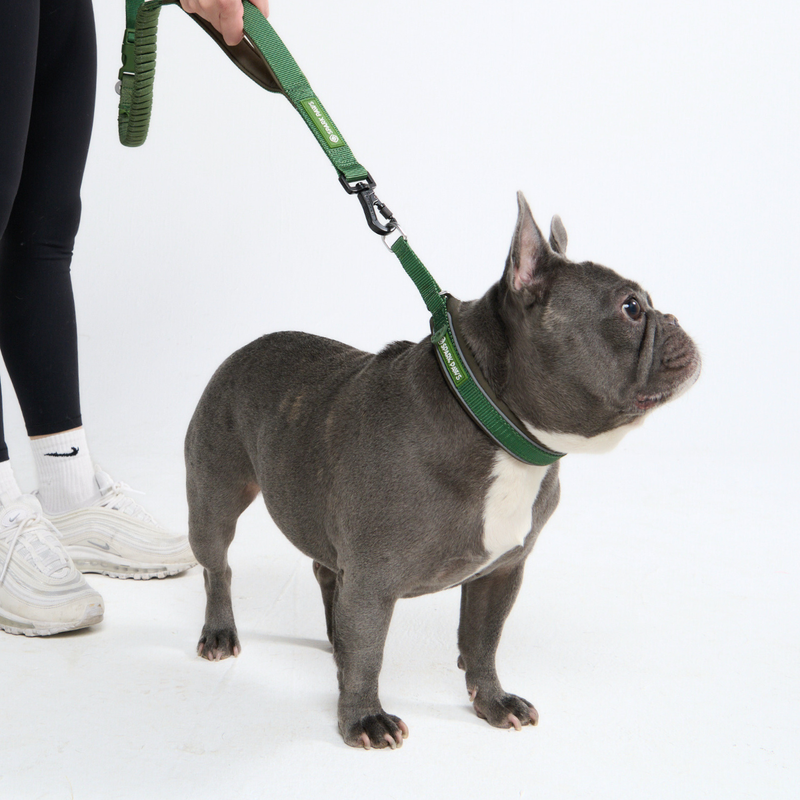 Green Neoprene Leash