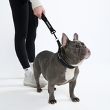 Black Neoprene Leash