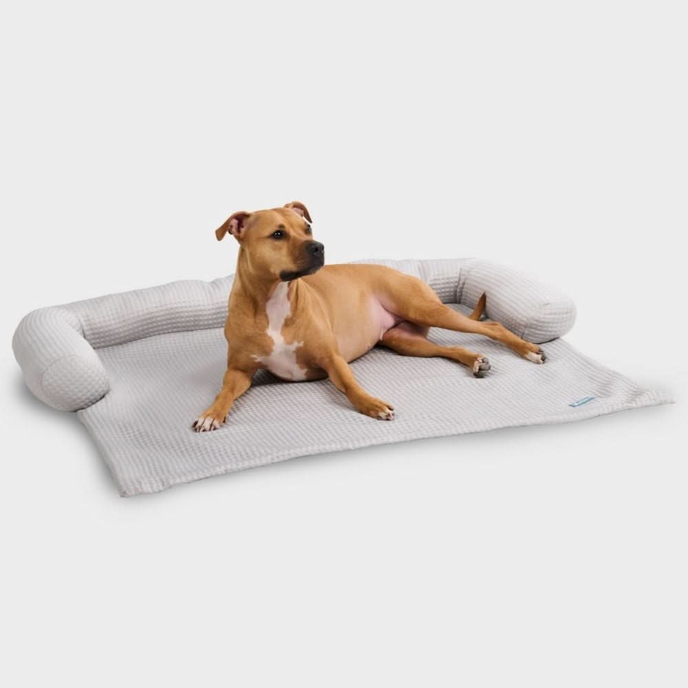 Frostcore™ 冷却ソファーカバー犬用ベッド – SPARK PAWS