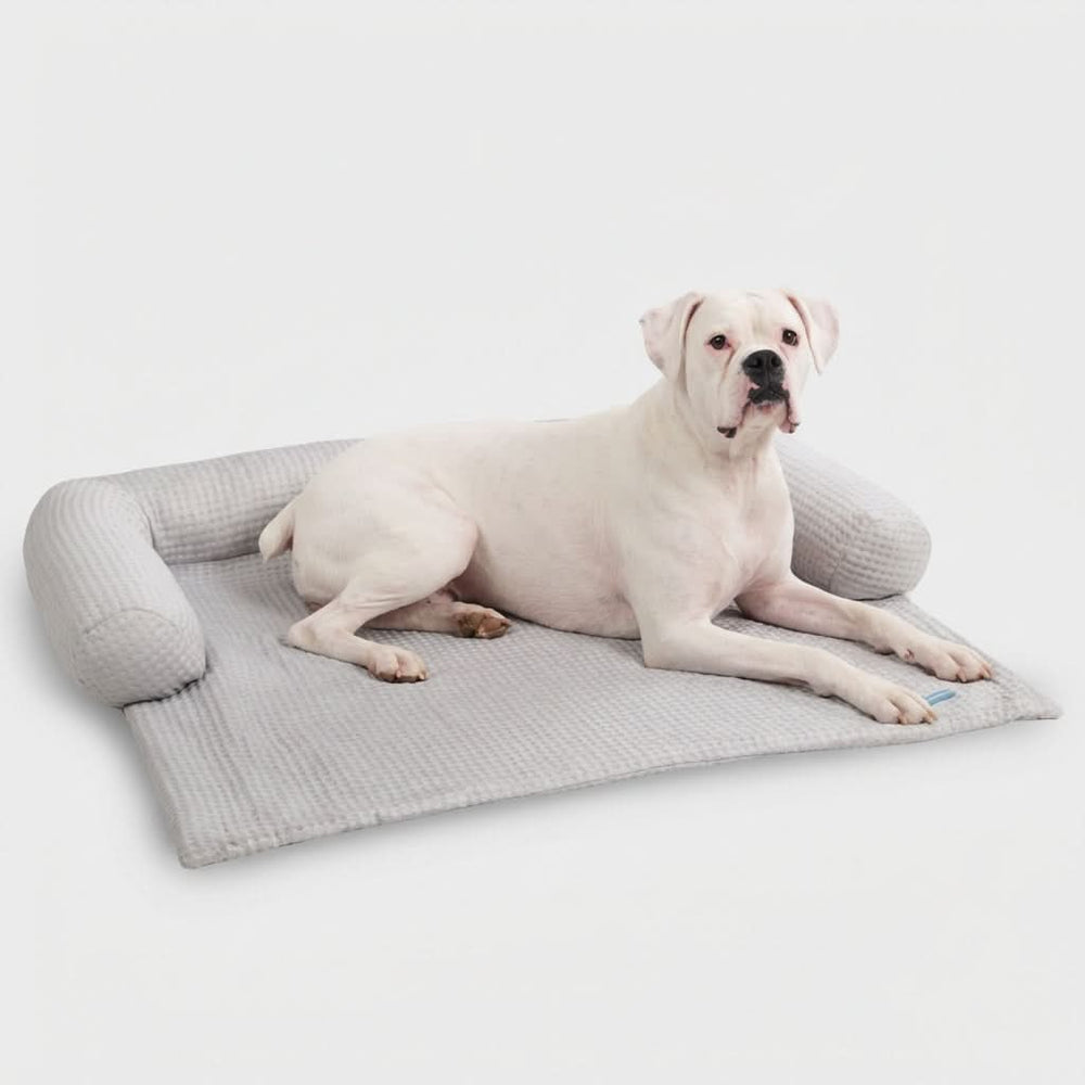 Frostcore™ 冷却ソファーカバー犬用ベッド – SPARK PAWS