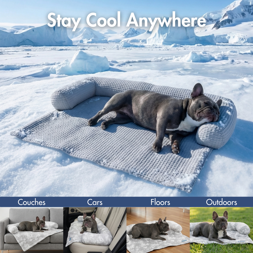 Frostcore™ 冷却ソファーカバー犬用ベッド – SPARK PAWS