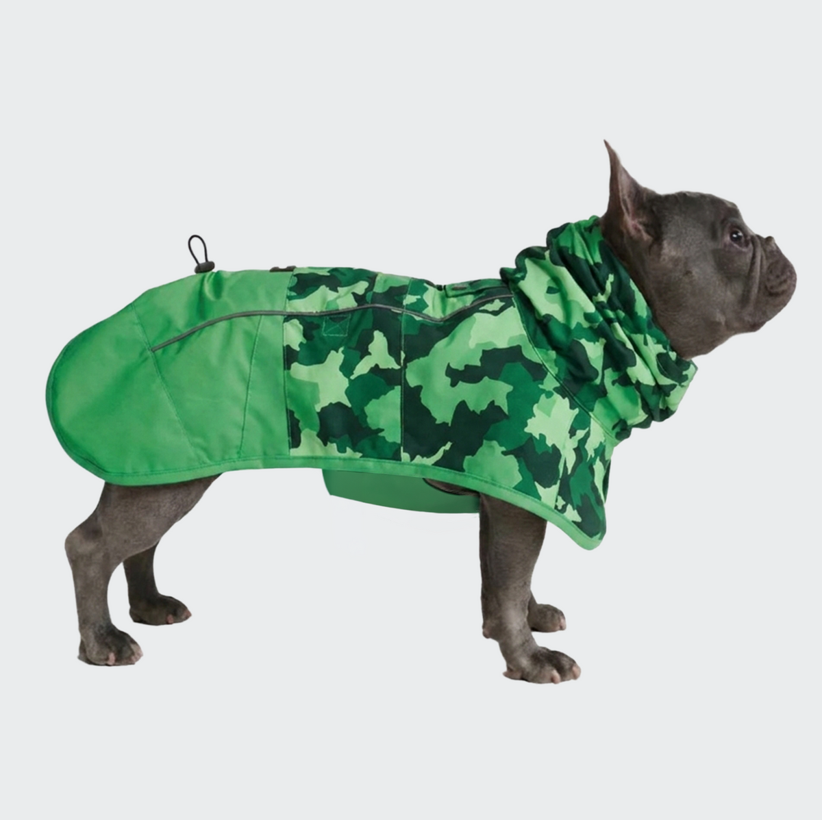 スパークパウズ犬の服、チェーン、首輪、その他 – SPARK PAWS