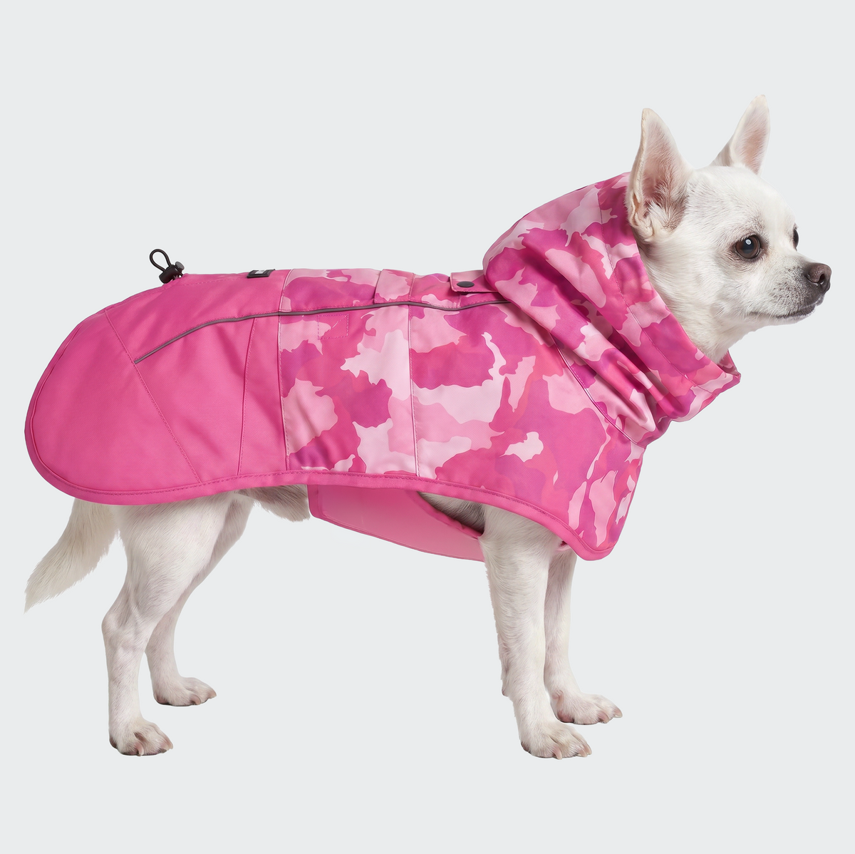 スパークパウズ犬の服、チェーン、首輪、その他 – SPARK PAWS