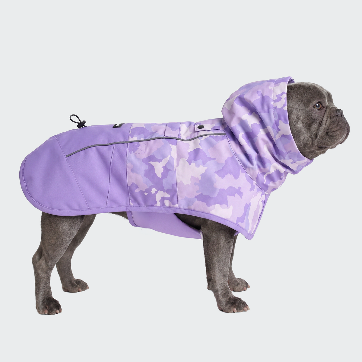 スパークパウズ犬の服、チェーン、首輪、その他 – SPARK PAWS