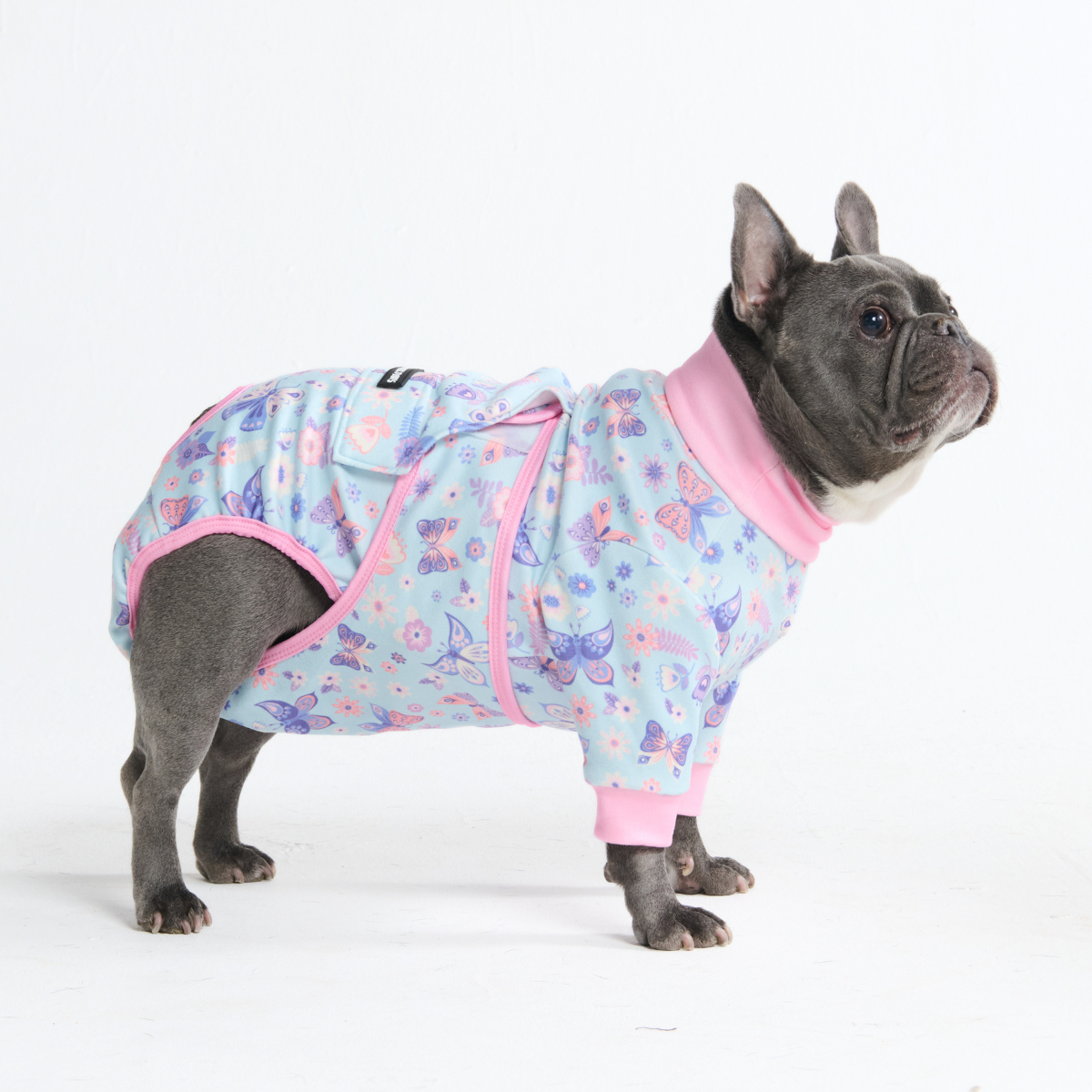 犬用パジャマ ワンジー – SPARK PAWS