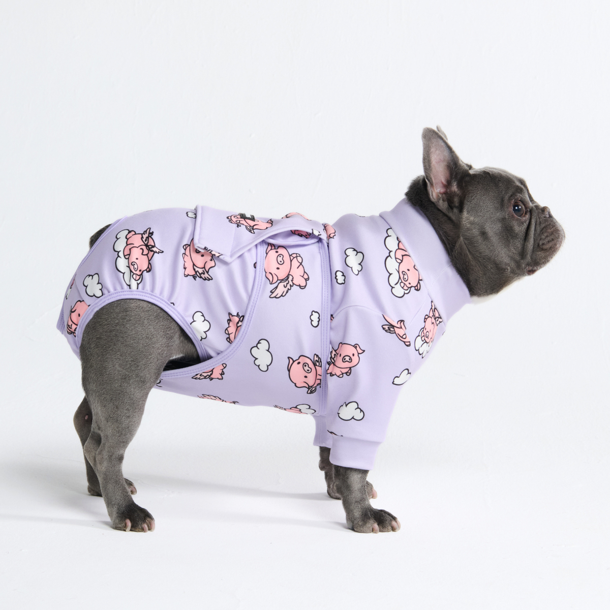 犬用パジャマ ワンジー – SPARK PAWS