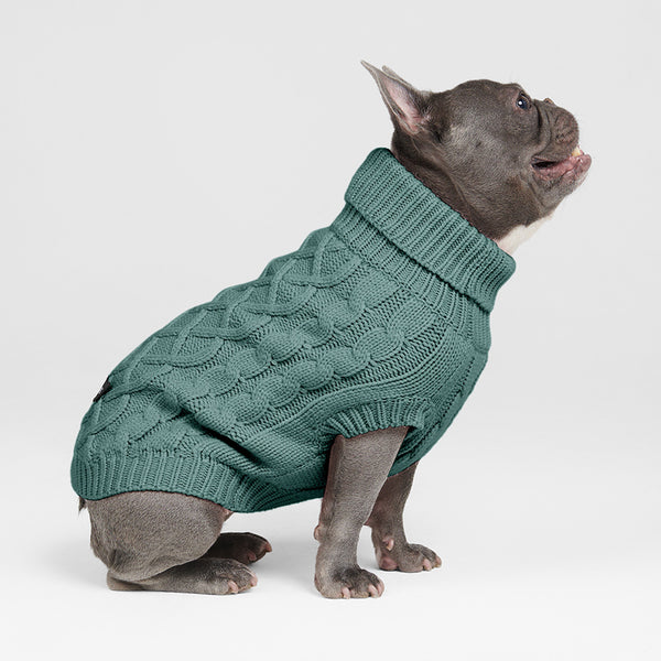 ケーブル編みの犬用セーター - 松の木の緑