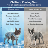 Ice Blue Cooling Vest||size:S,M,L,XL,2XL,3XL,4XL