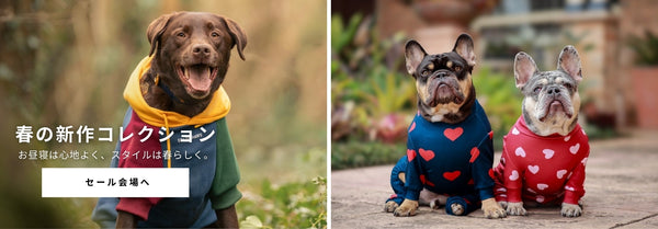 スパークパウズ犬の服、チェーン、首輪、その他 – SPARK PAWS