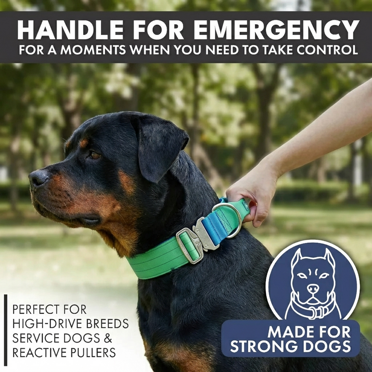 戦術的な犬用首輪 - ライムウェーブ – SPARK PAWS