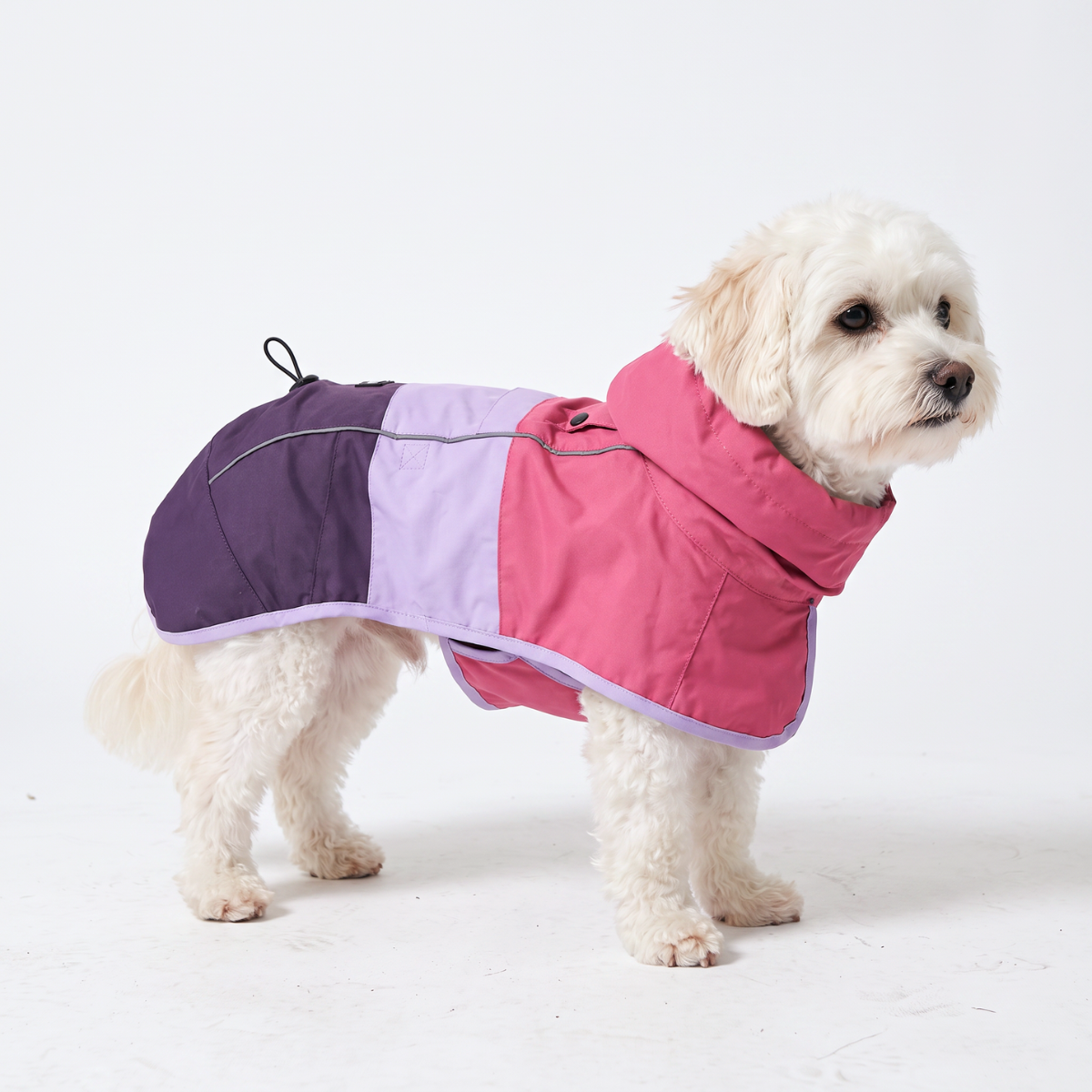 Breatheshield™ ドッグ レインコート – SPARK PAWS