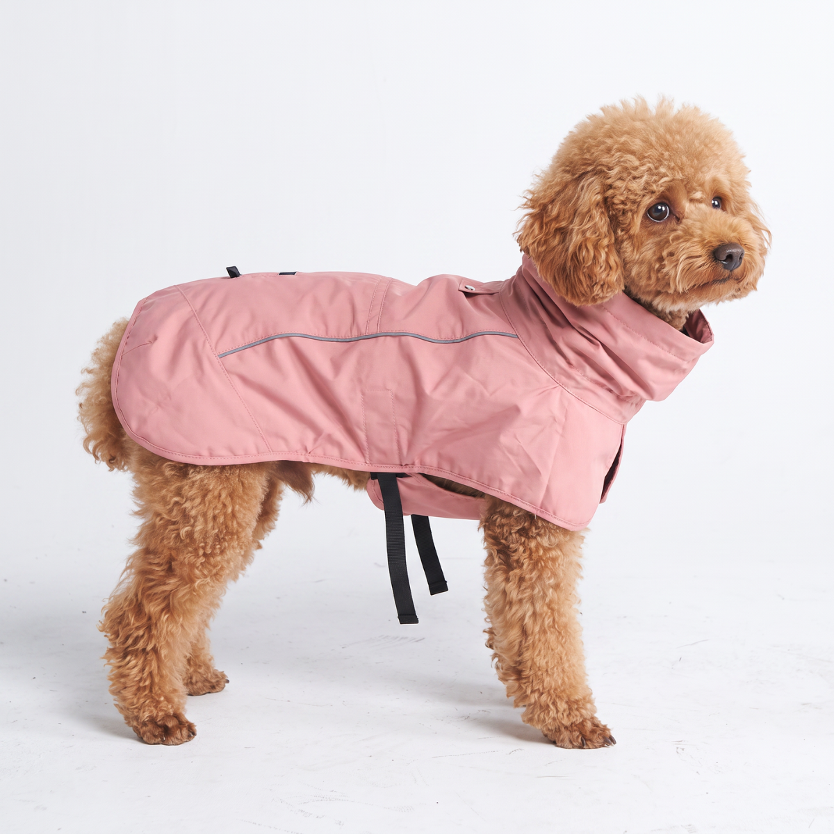 ブレスシールド™ 犬用レインコート - シーピンク – SPARK PAWS