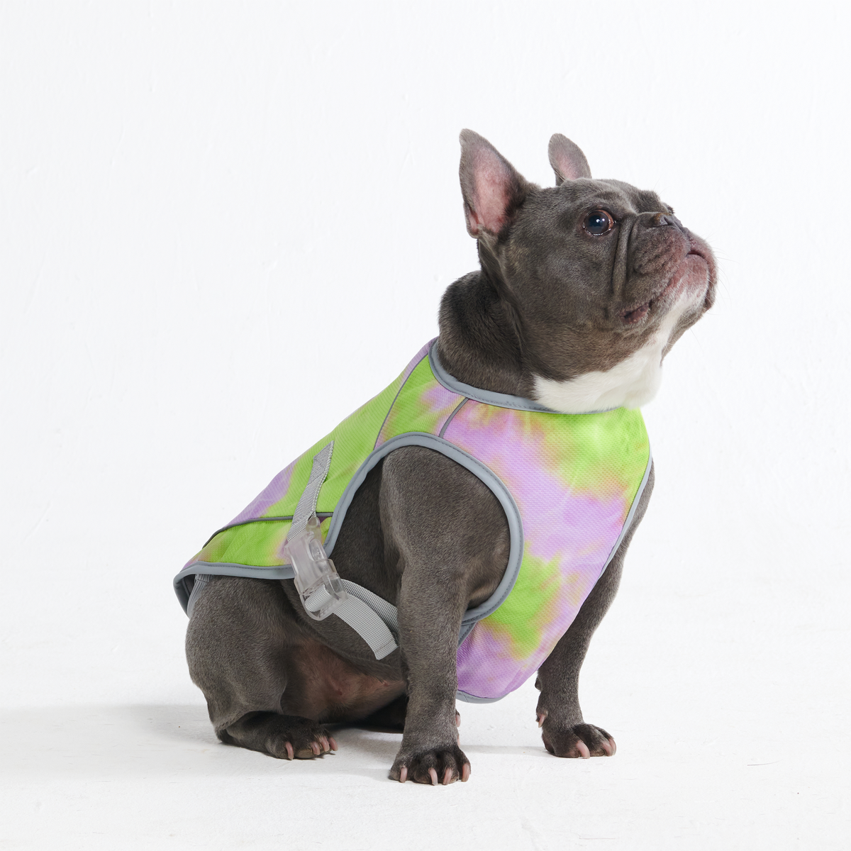 犬用冷却ベスト – SPARK PAWS