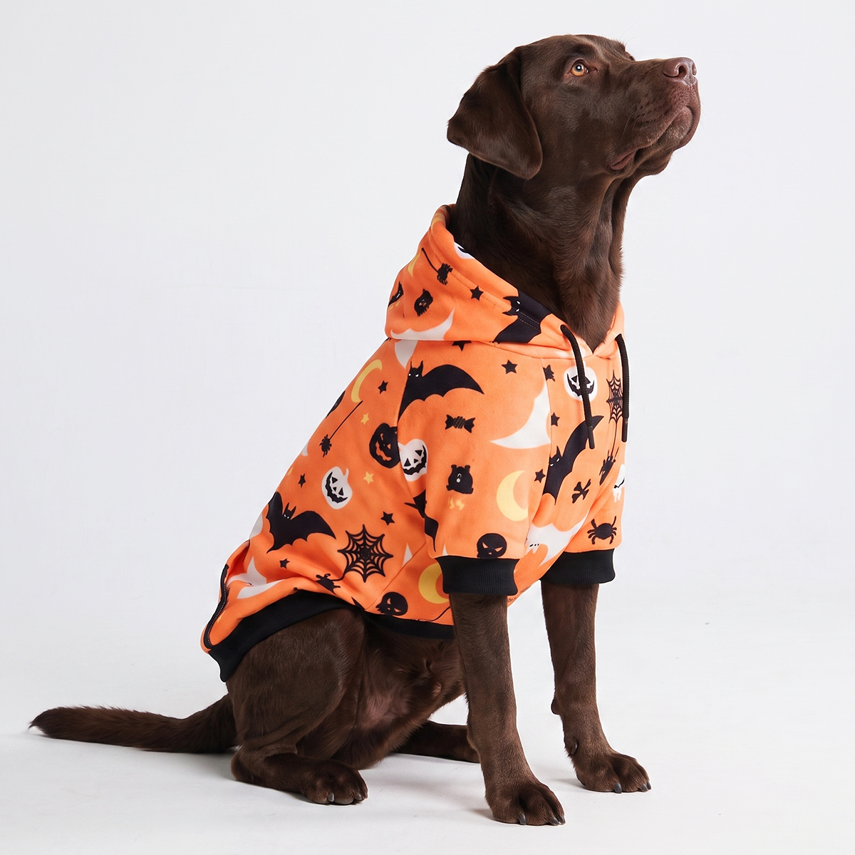 犬用パーカー、スウェットシャツ、セーター、ジャンパー – SPARK PAWS