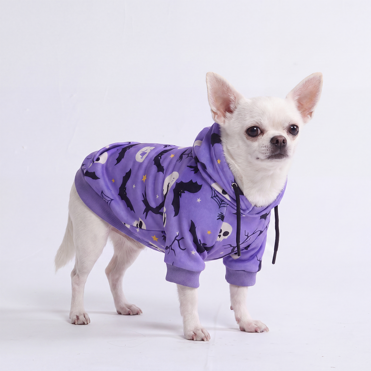 犬用パーカー、スウェットシャツ、セーター、ジャンパー – SPARK PAWS