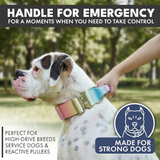 戦術的な犬用首輪 - パステルアイシング
