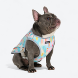 Popsicle Cooling Vest||size:L,XL,2XL