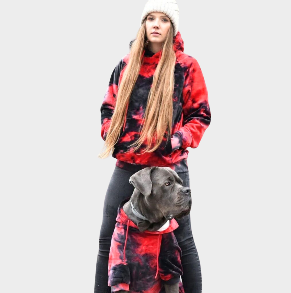 Top Deals – SPARK PAWS