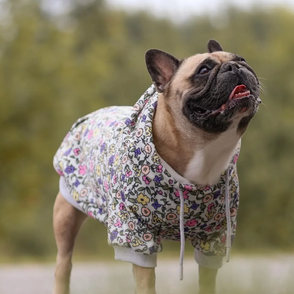 Spark Paws Fall 2024 - Dog and Human Apparel – SPARK PAWS