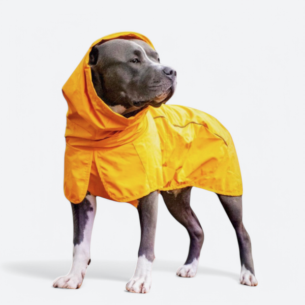 犬レインコート・防寒着　Mr.Mac オレンジ レインコート　定価12000円 Breatheshield™ ドッグ レインコート – SPARK PAWS