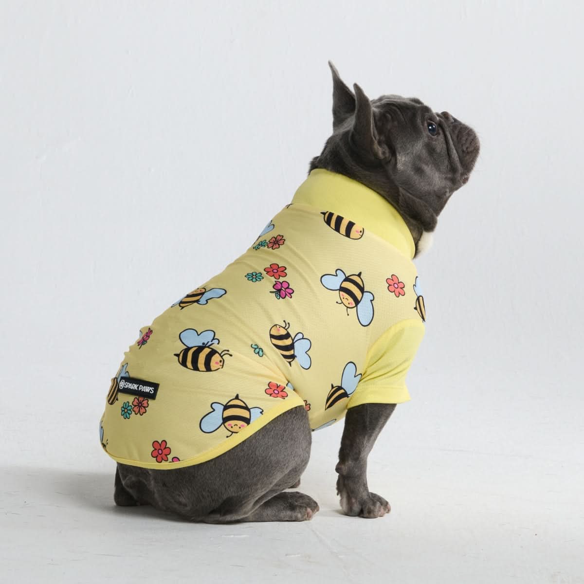 Sunblockdogt-