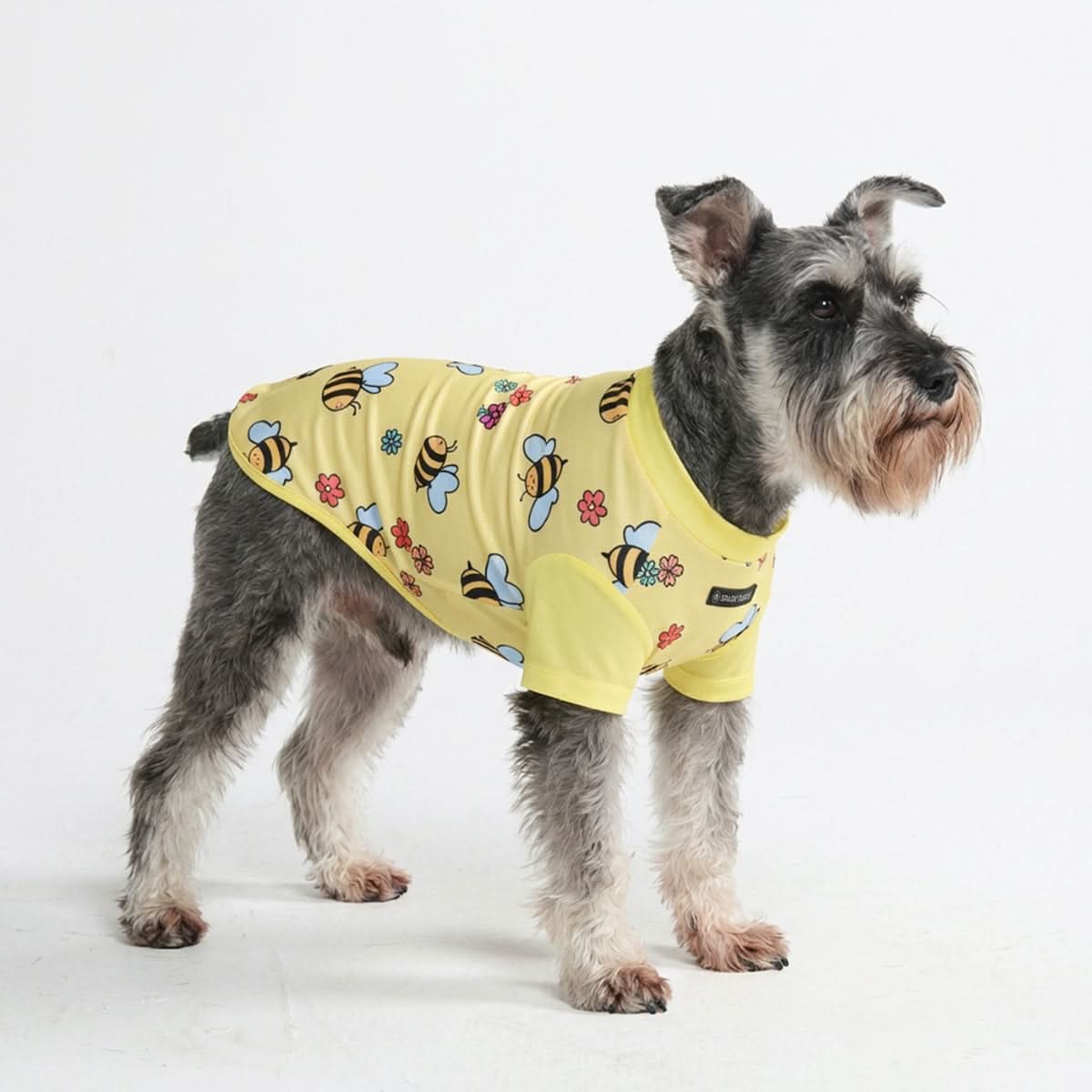 スパークパウズ犬の服、チェーン、首輪、その他 – SPARK PAWS