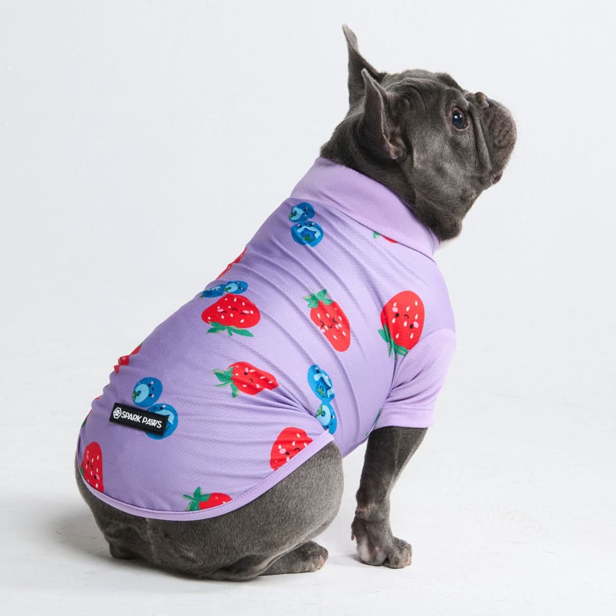 Dog T-Shirt – SPARK PAWS