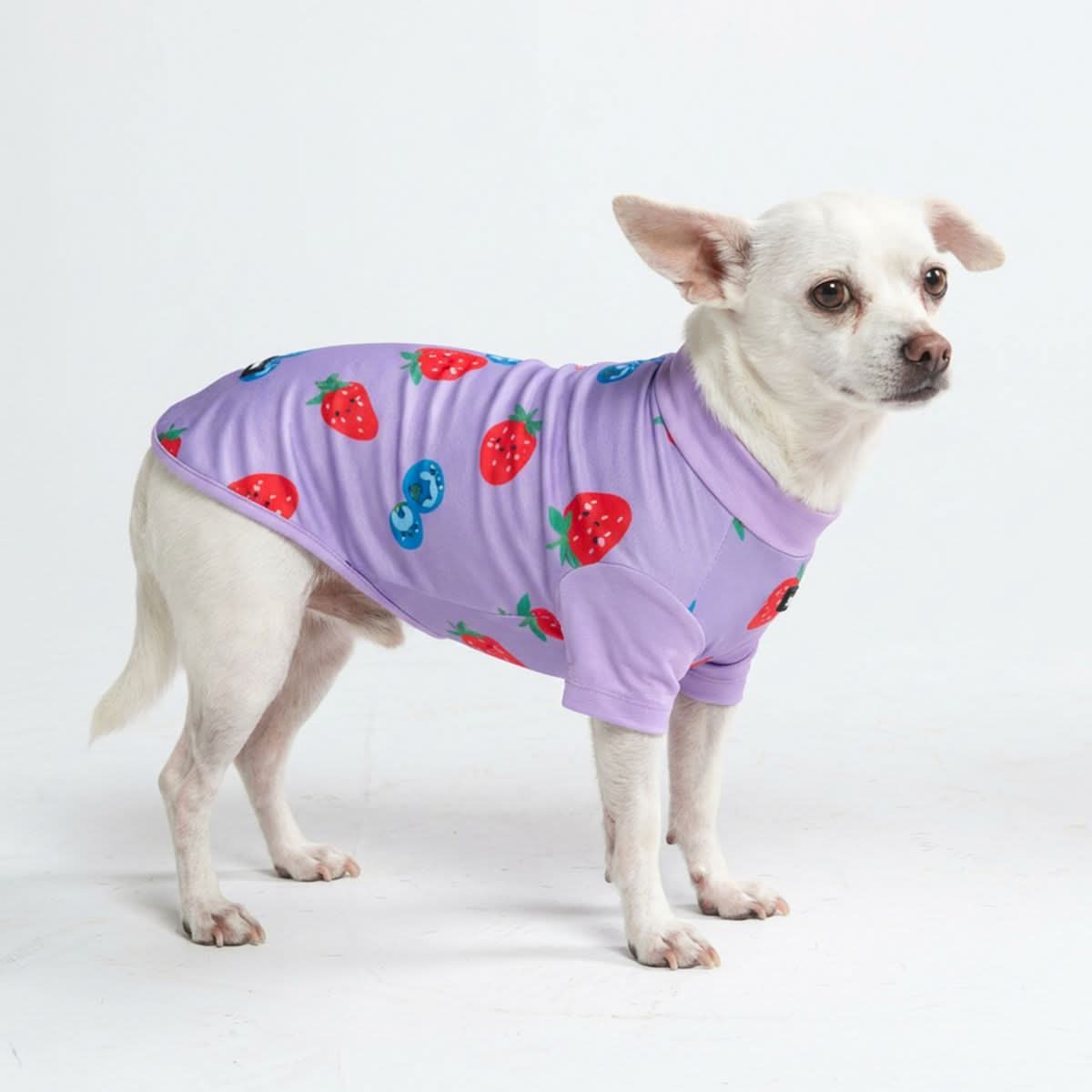 Dog T-Shirt – SPARK PAWS