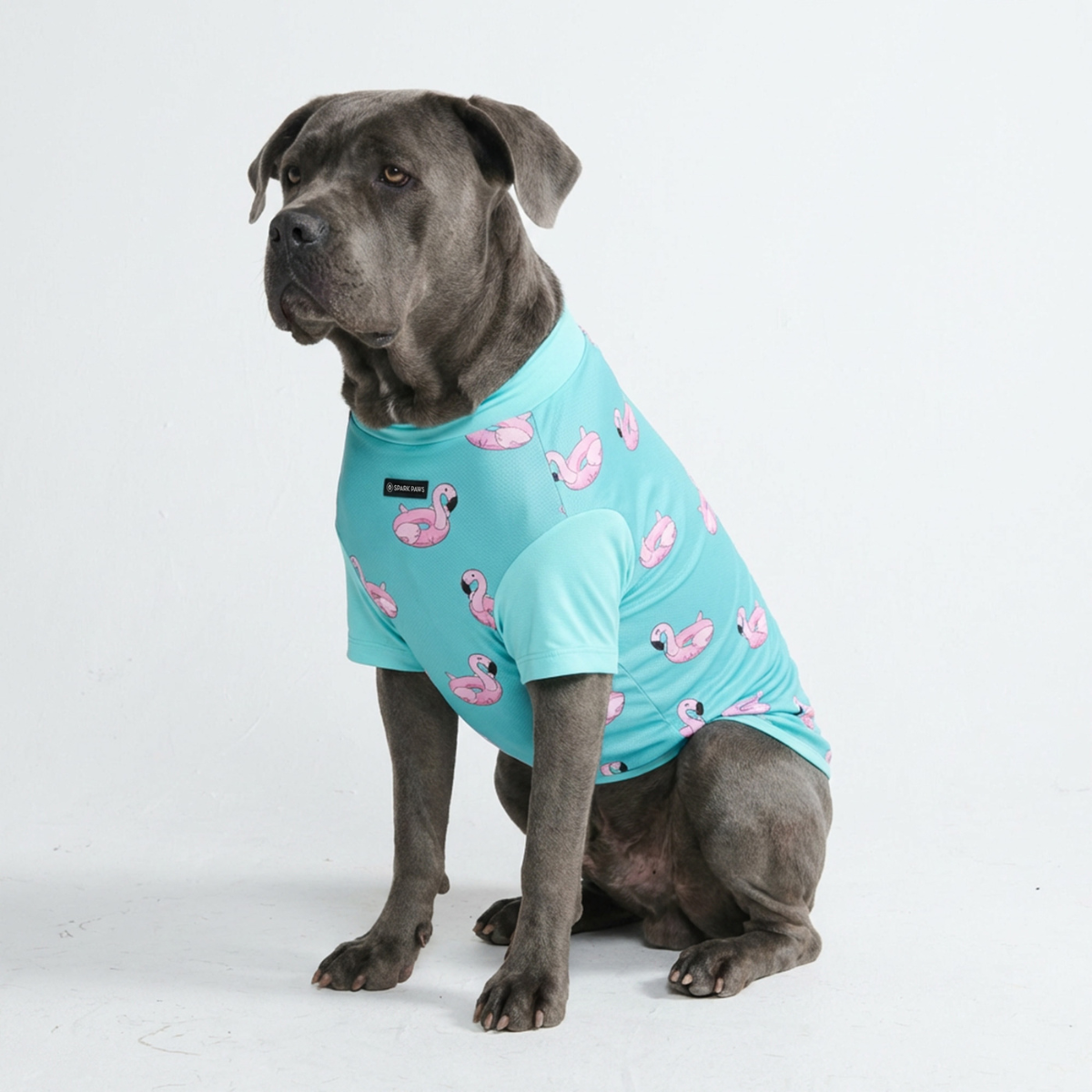 Dog T-Shirt – SPARK PAWS