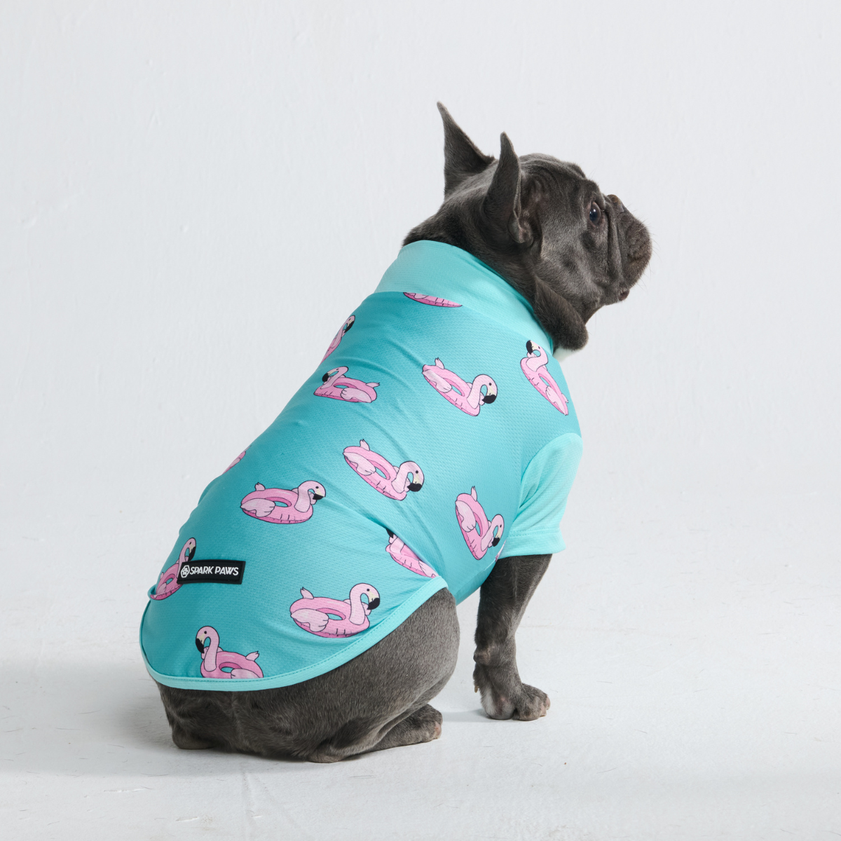 Dog T-Shirt – SPARK PAWS