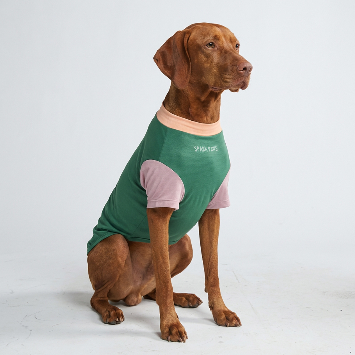 スパークパウズ犬の服、チェーン、首輪、その他 – SPARK PAWS
