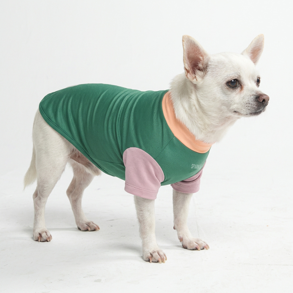 スパークパウズ犬の服、チェーン、首輪、その他 – SPARK PAWS
