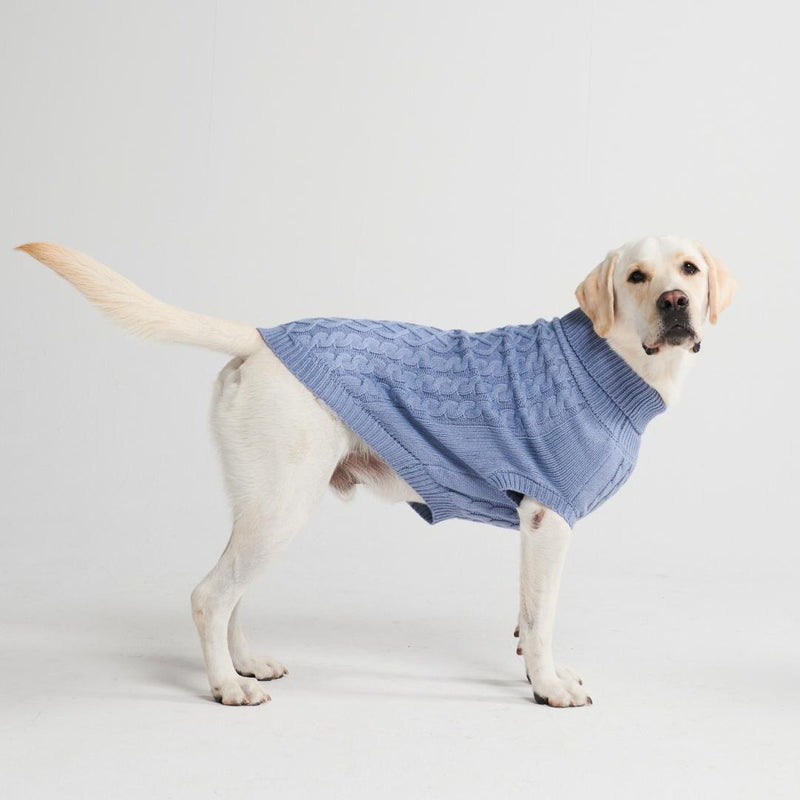 ケーブル編みの犬用セーター - 青