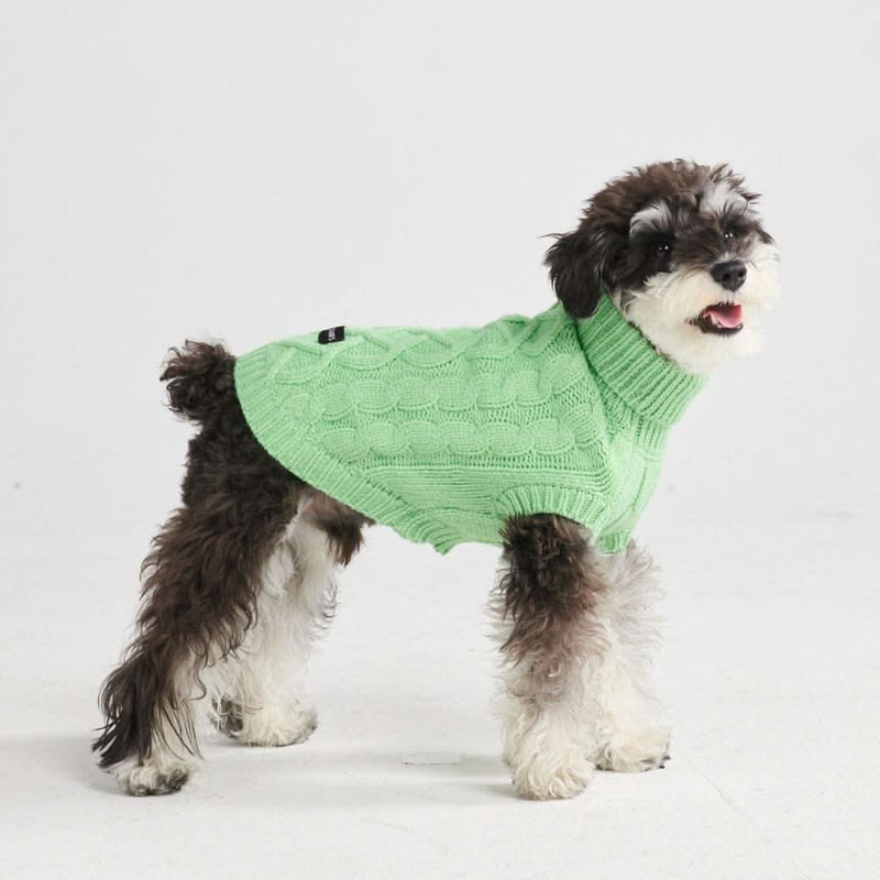 ケーブル編みの犬用セーター - ミントグリーン – SPARK PAWS