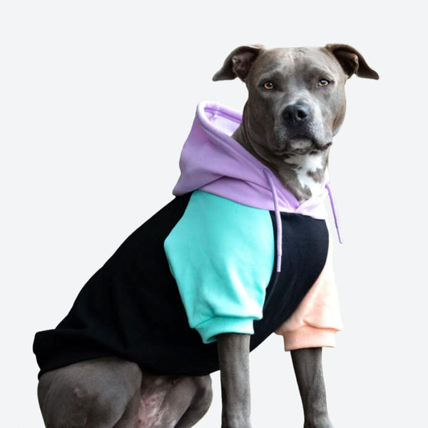 スパークパウズ　人　犬　お揃い　服 スパークパウズ 人 犬 お揃い 服