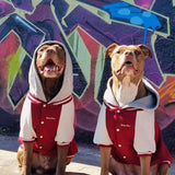 犬用バーシティ ジャケット - レッド