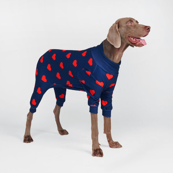 人と犬のお揃いの服装 – SPARK PAWS
