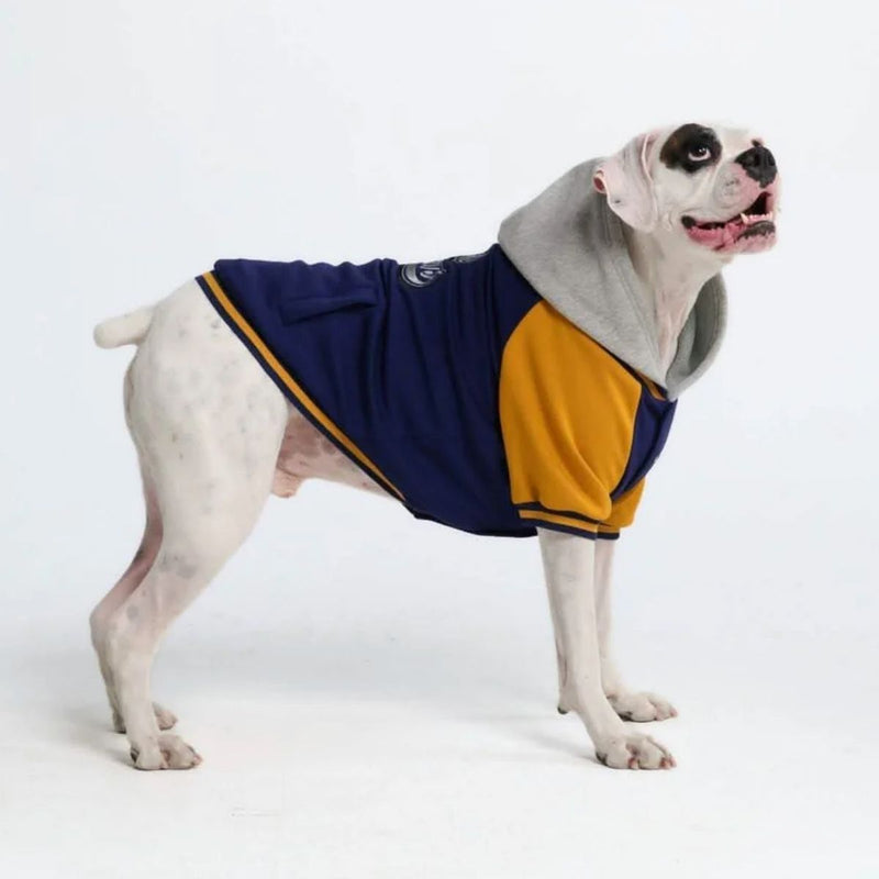 犬用バーシティ ジャケット - ブルー イエロー