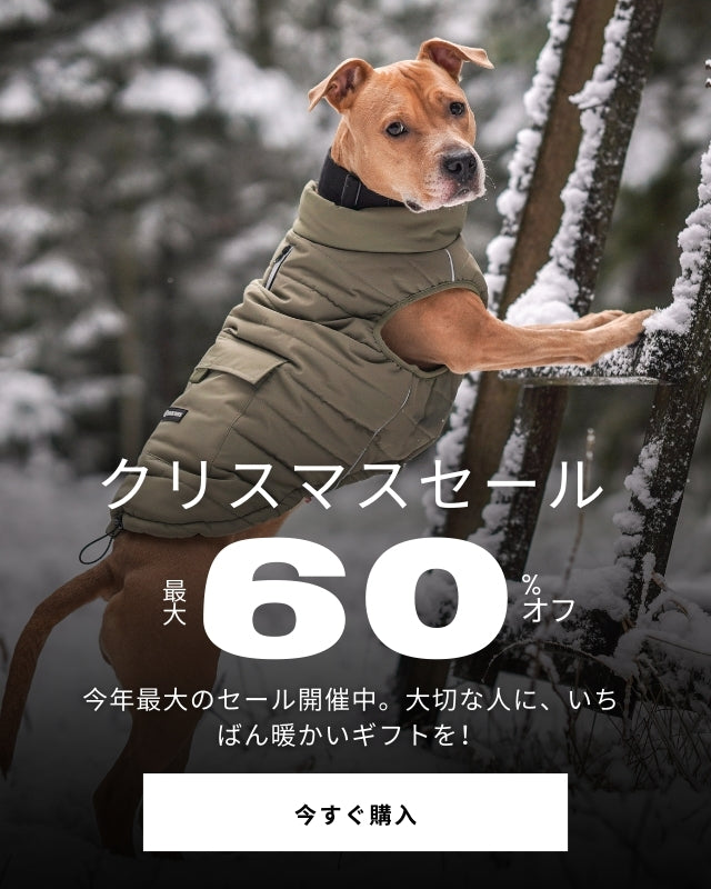 スパークパウズ犬の服、チェーン、首輪、その他 – SPARK PAWS